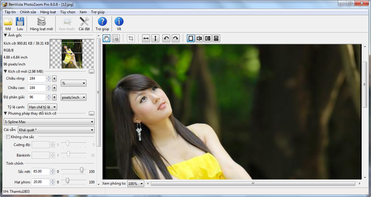 PhotoZoom Pro 3.0.6 & Portable ( Phóng to ảnh mà ko bị bể hình )